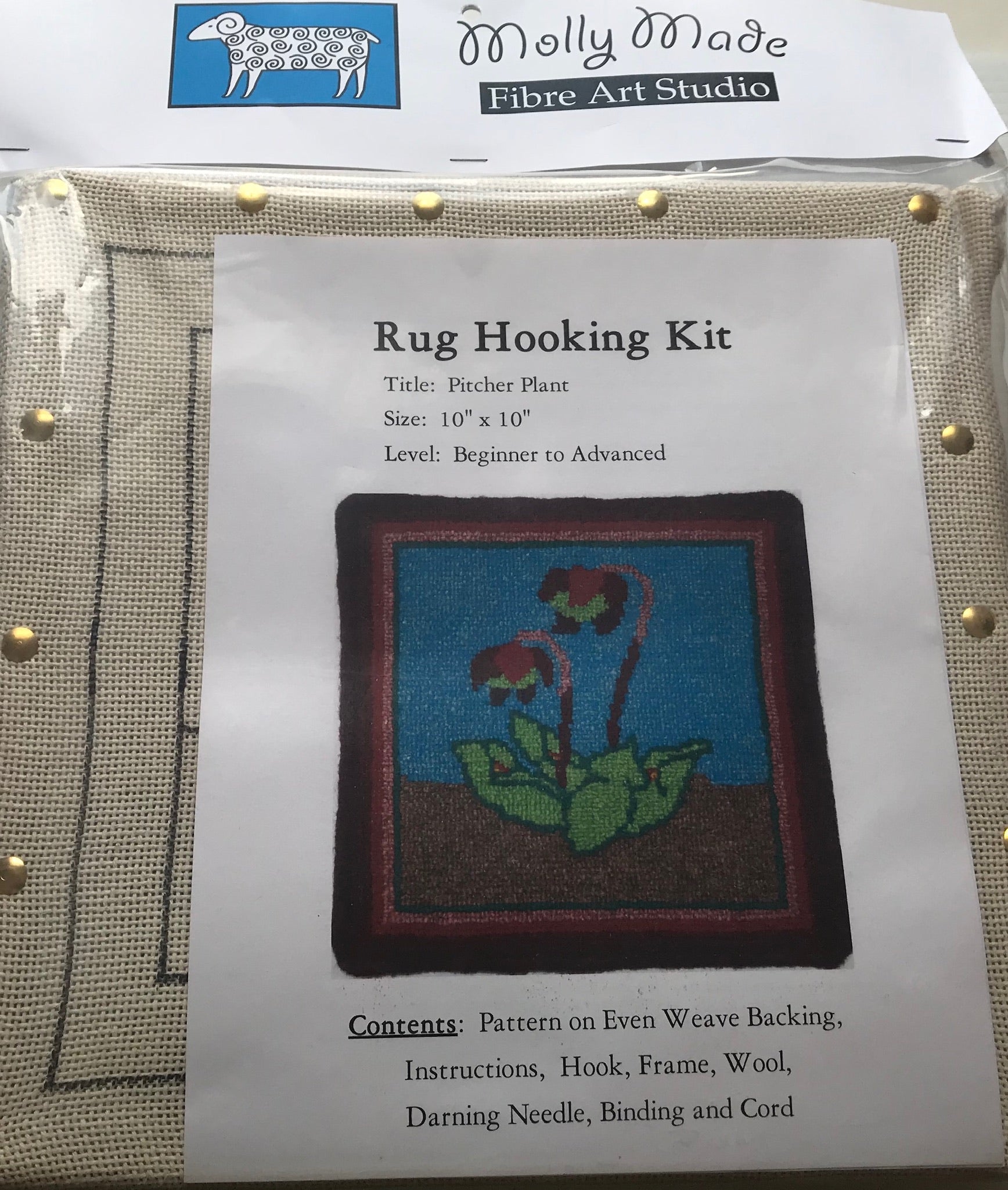 Rug Hooking Kits 10" x 10"